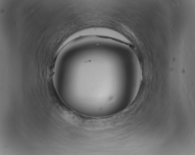 X0000070230025200605301507