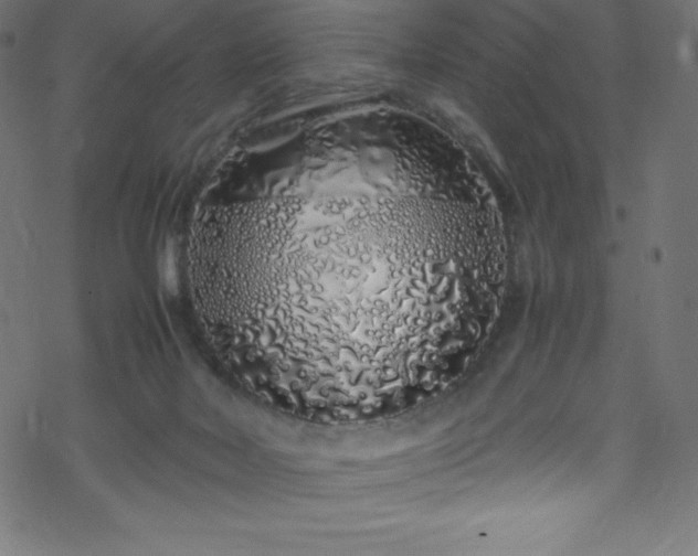 X0000070230026200605301507