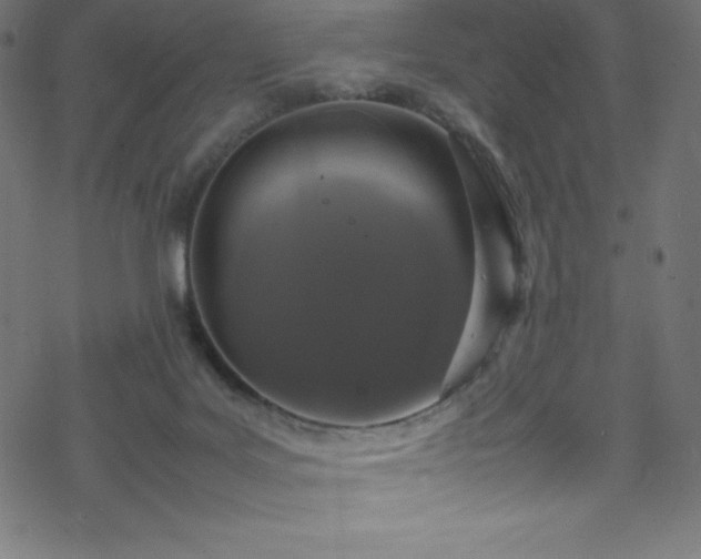 X0000070230027200605301507