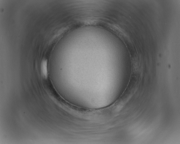 X0000070230028200605301507