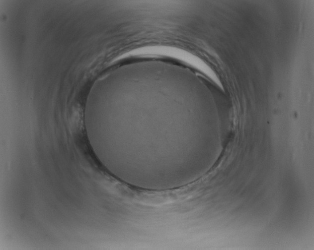 X0000070230029200605301507