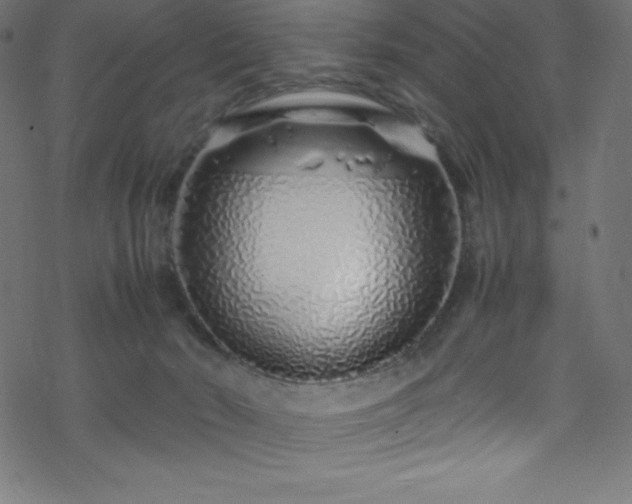 X0000070230030200605301507