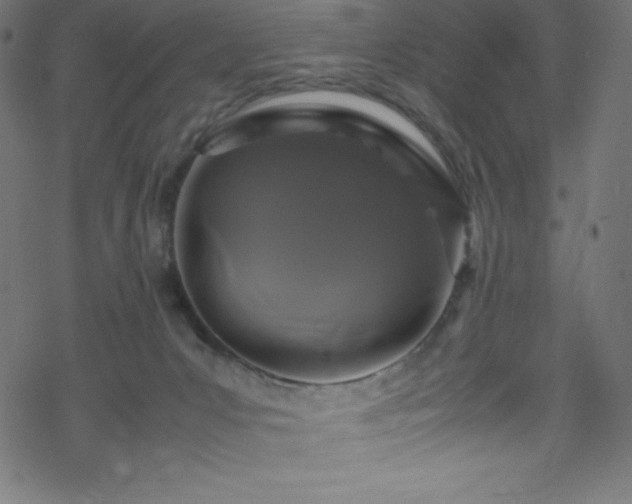 X0000070230031200605301507