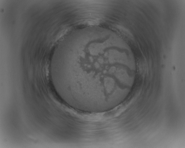 X0000070230032200605301507