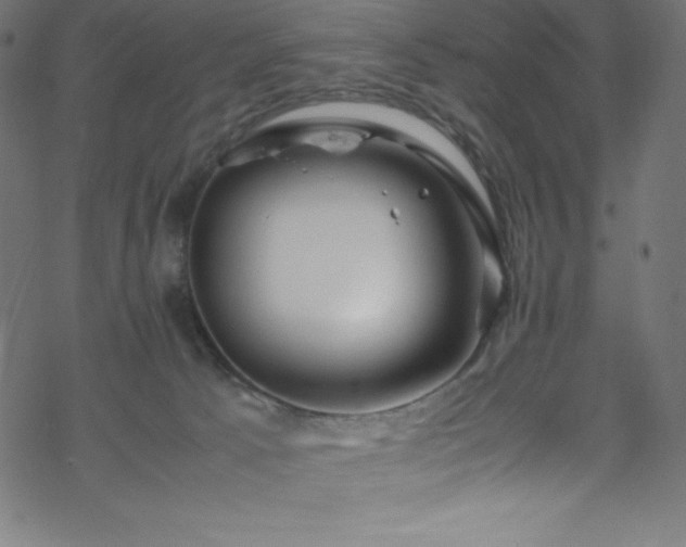 X0000070230033200605301507