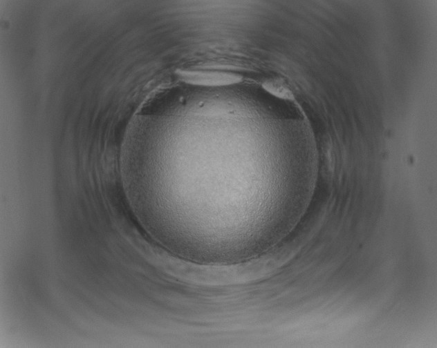 X0000070230034200605301507