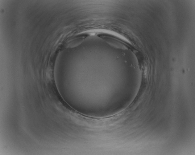 X0000070230035200605301506