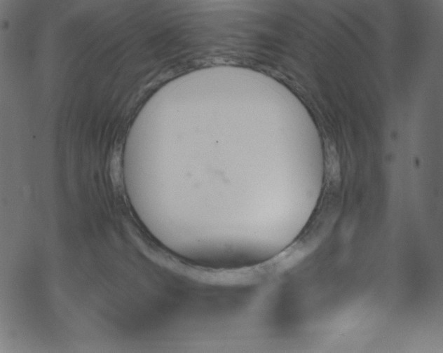 X0000070230036200605301506