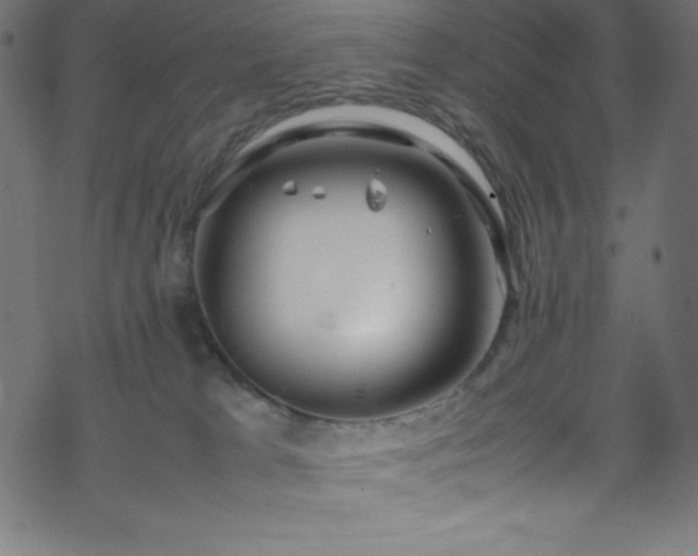 X0000070230037200605301506