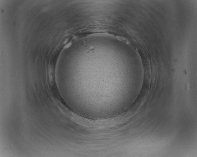 X0000070230038200605301506