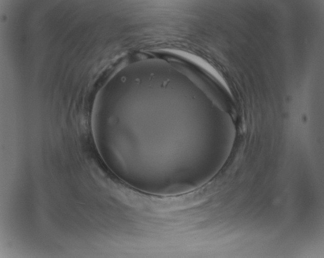 X0000070230039200605301506