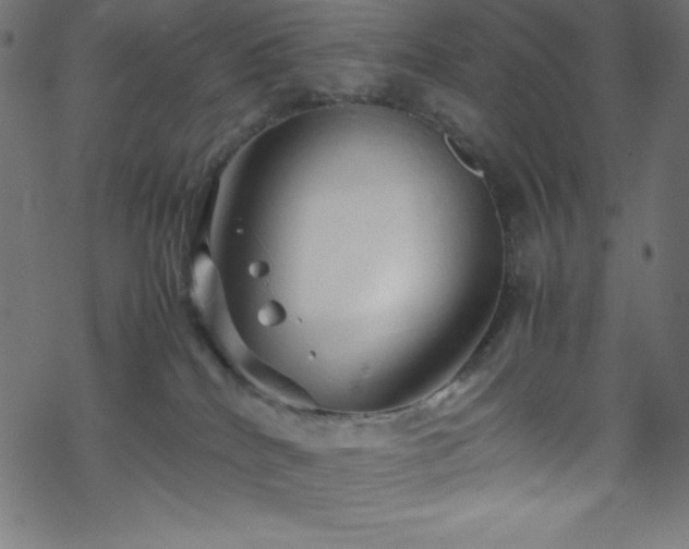 X0000070230040200605301506