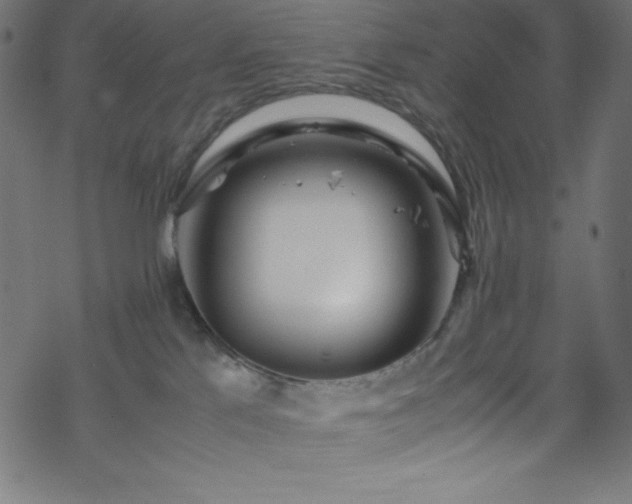 X0000070230041200605301506