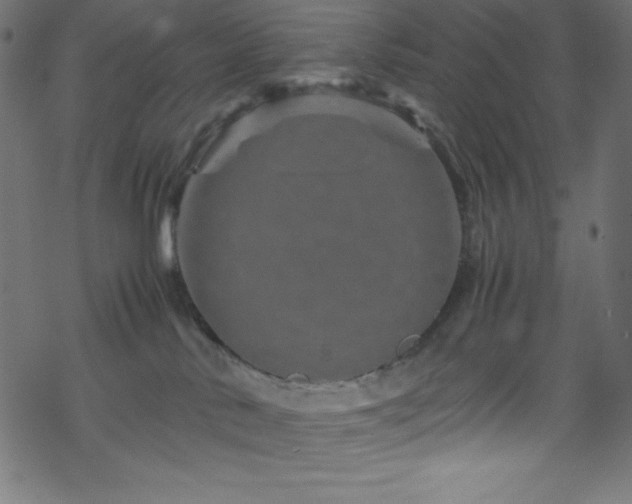 X0000070230042200605301506