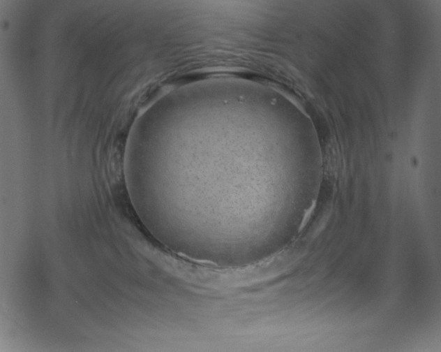 X0000070230043200605301506