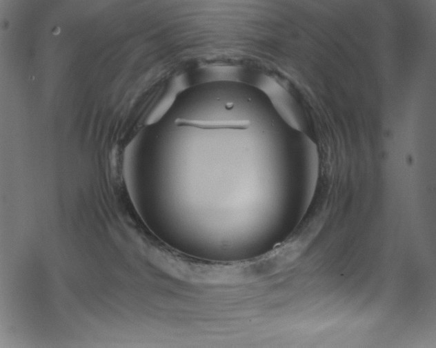 X0000070230044200605301506