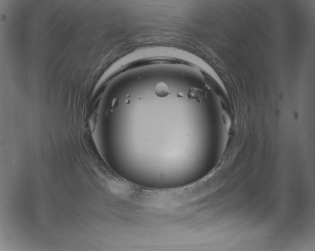 X0000070230045200605301506