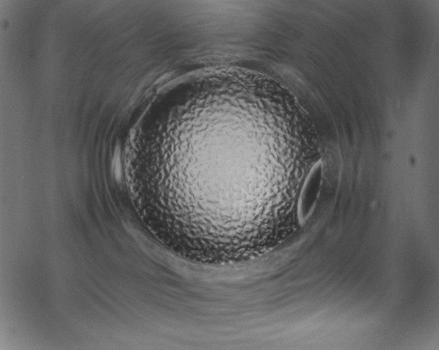 X0000070230046200605301506