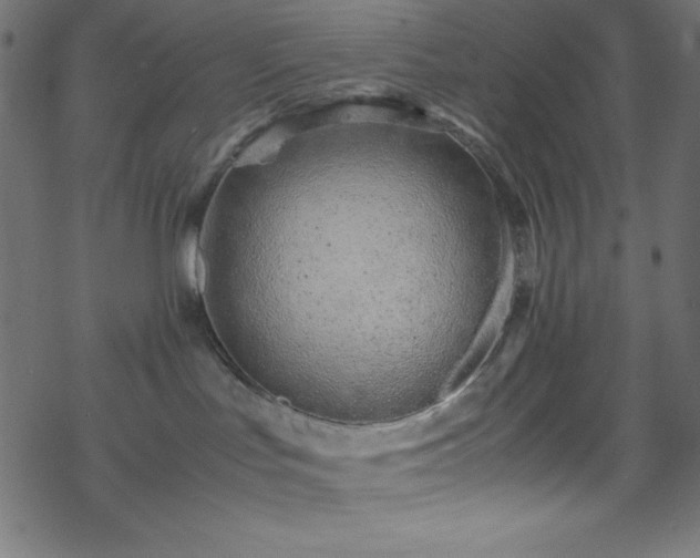 X0000070230047200605301506