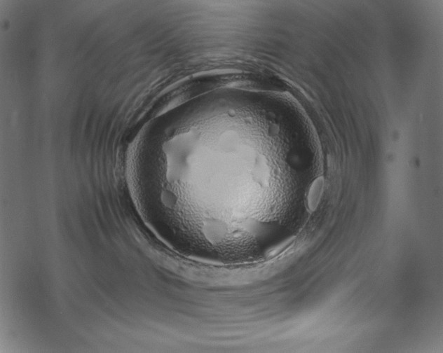 X0000070230048200605301506