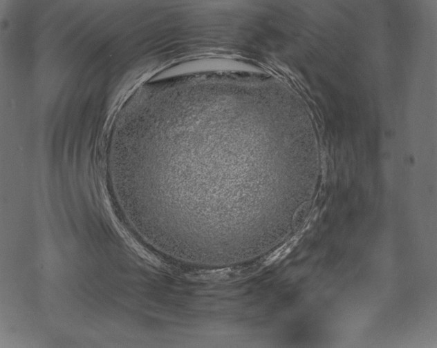 X0000070230049200605301506