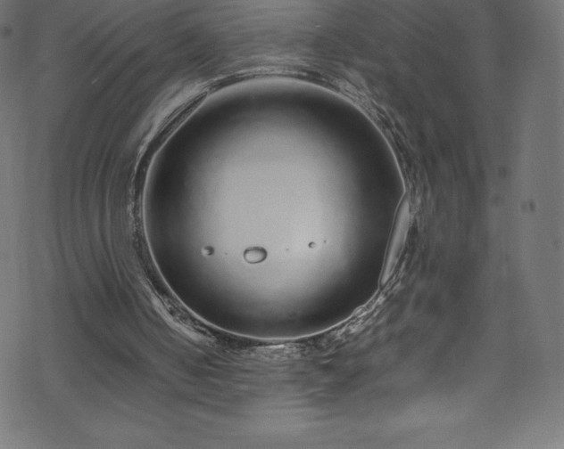 X0000070230050200605301506