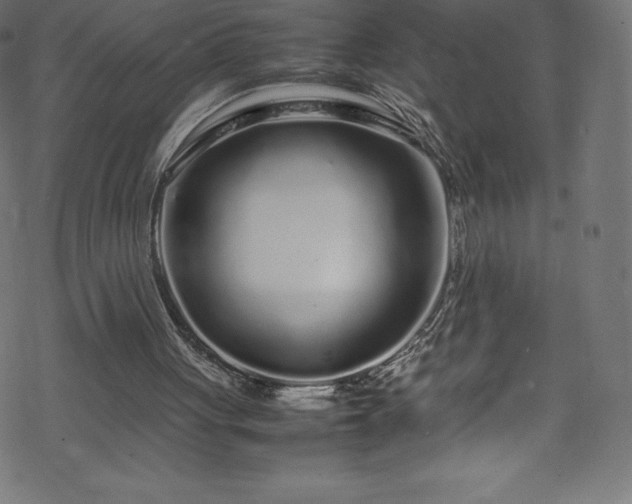 X0000070230051200605301506