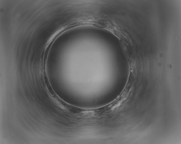 X0000070230052200605301506