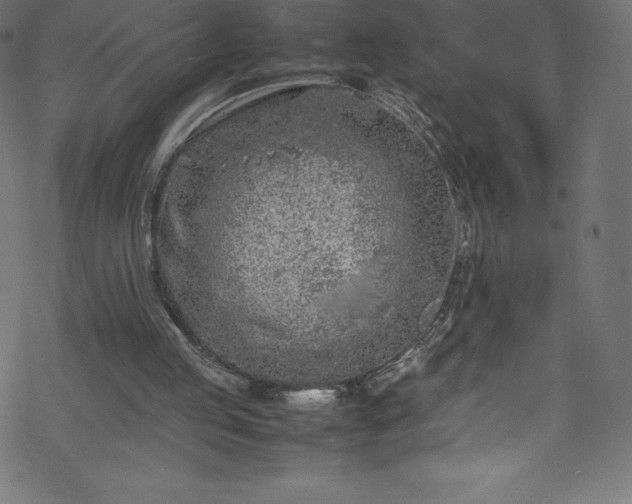 X0000070230053200605301506