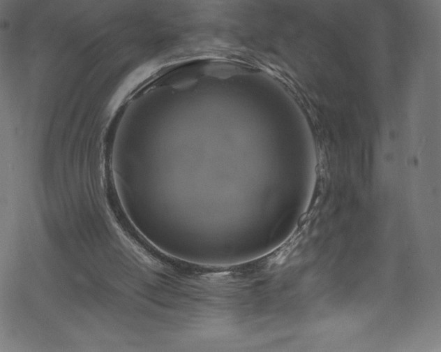 X0000070230054200605301506