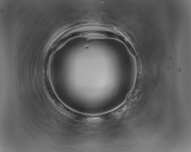 X0000070230055200605301506