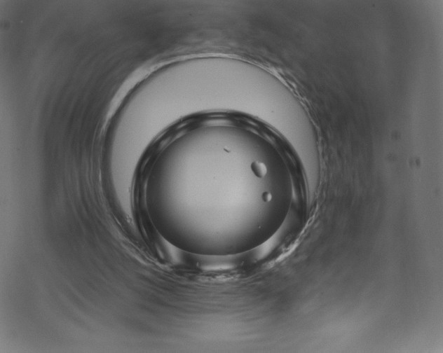 X0000070230056200605301506