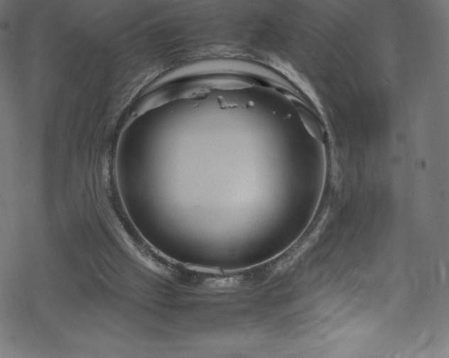 X0000070230057200605301506