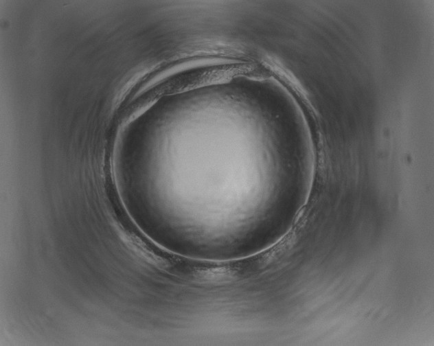 X0000070230058200605301506