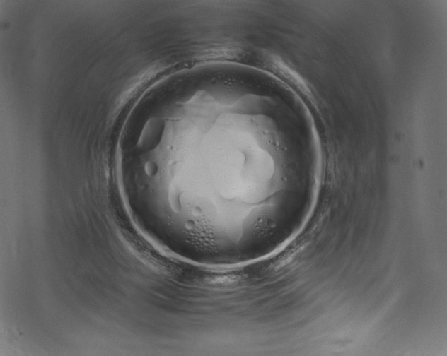 X0000070230059200605301506