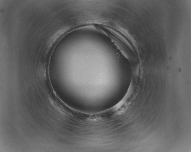 X0000070230060200605301506