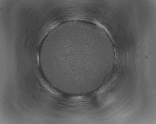 X0000070230061200605301506