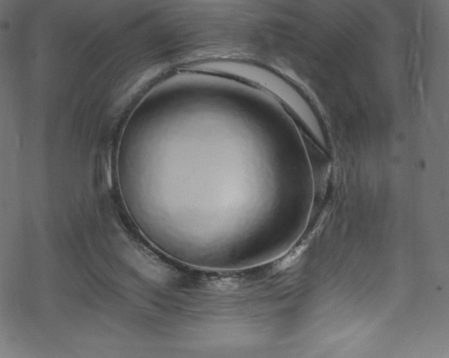 X0000070230062200605301506