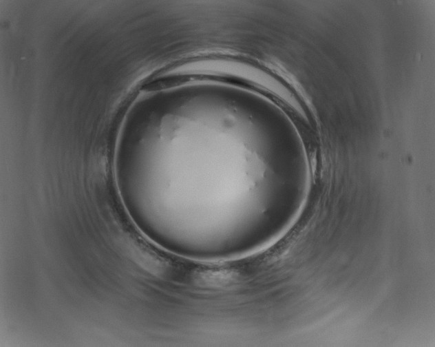 X0000070230063200605301506