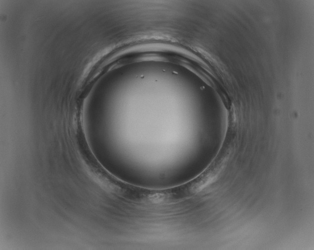 X0000070230064200605301506