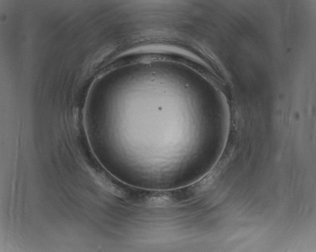 X0000070230066200605301506