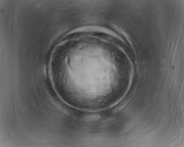 X0000070230067200605301506