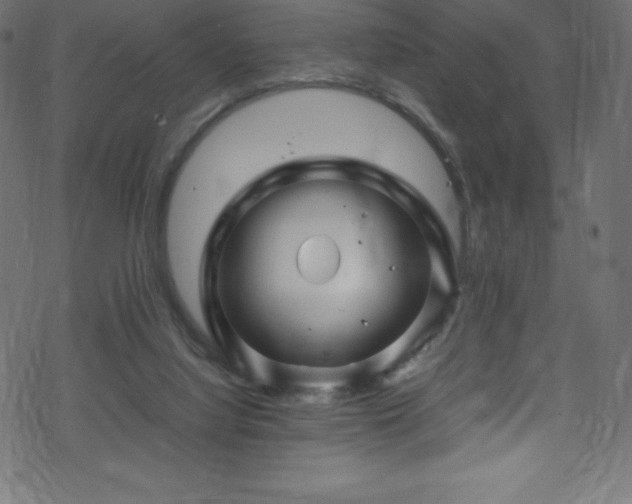 X0000070230068200605301506