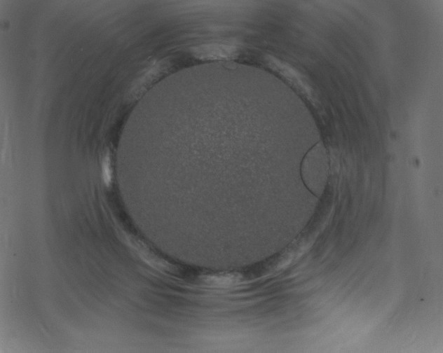 X0000070230069200605301506