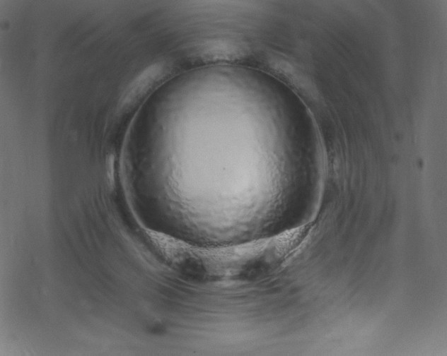 X0000070230070200605301506