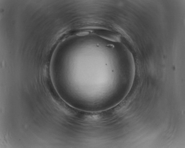 X0000070230071200605301506