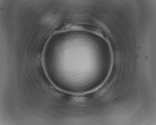 X0000070230073200605301506