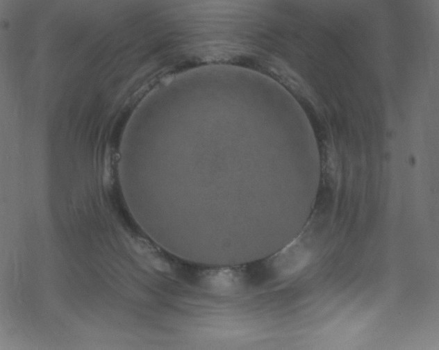 X0000070230074200605301506