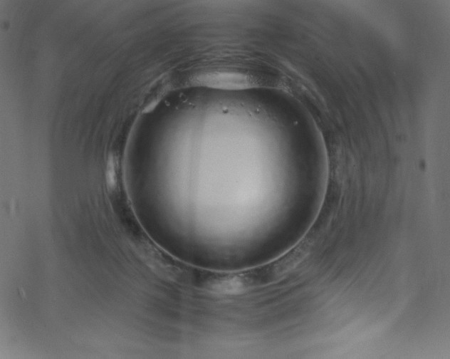 X0000070230075200605301506