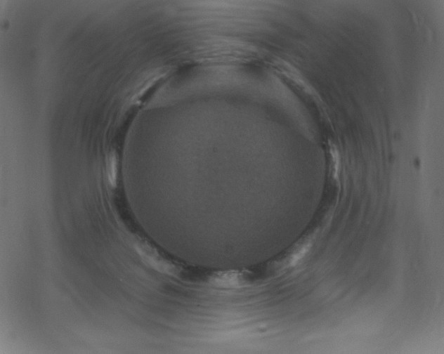 X0000070230076200605301506